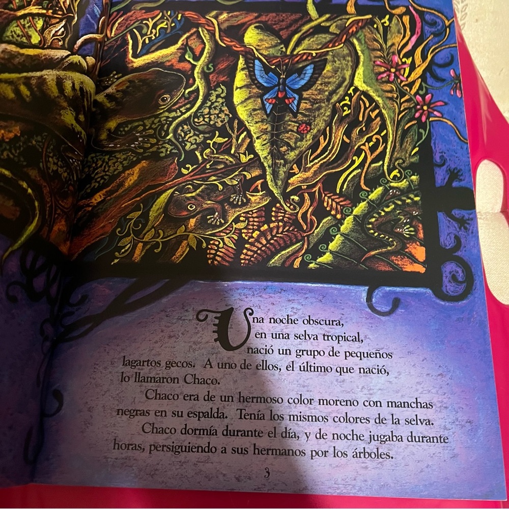 La Canción del Geco - Colorful Blue & Brown Reptile Book - Picture 4 of 4